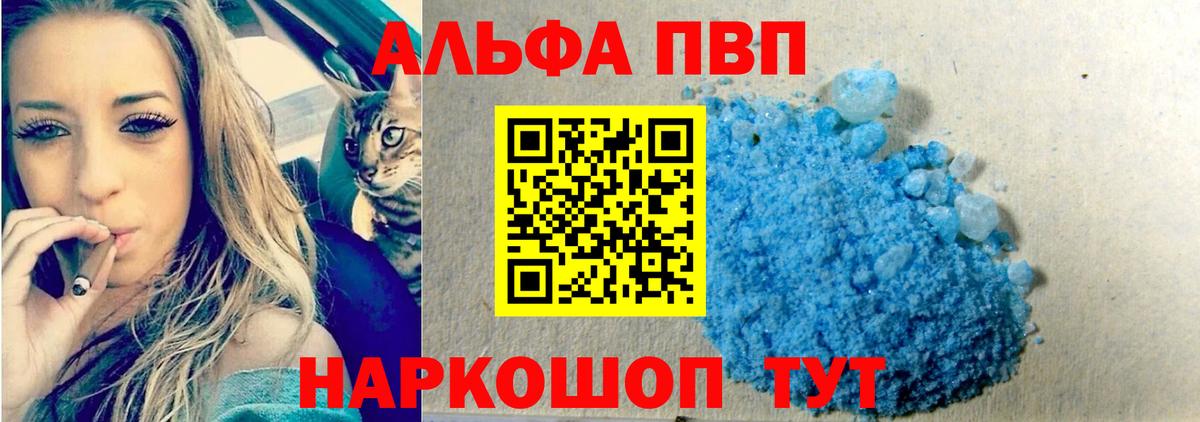 Альфа ПВП СК  Вход с VPN  Alpha PVP СК КРИС  Гулькевичи 