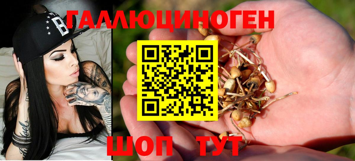 Гулькевичи  Галлюциногенные грибы MAGIC MUSHROOMS  Вход с VPN 